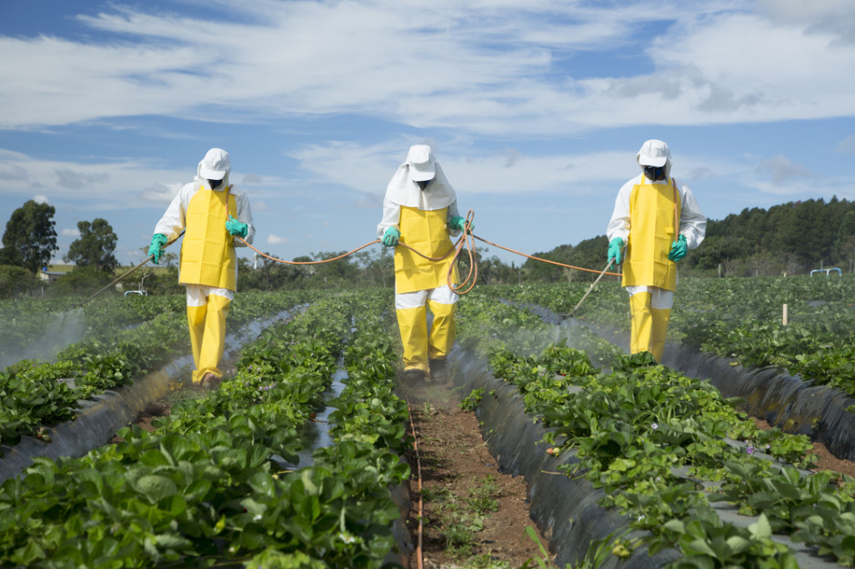 Europol: Przejęto 122 t nielegalnych pestycydów