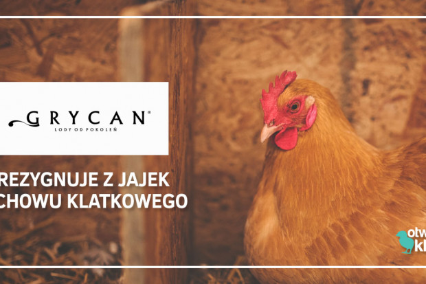 fot. materiały prasowe Grycan wycofuje z produkcji jaja z chowu klatkowego