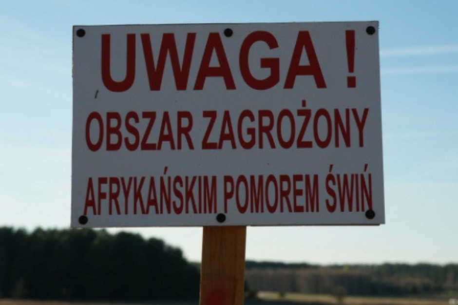 fot. GIW Kolejne dwa ogniska ASF