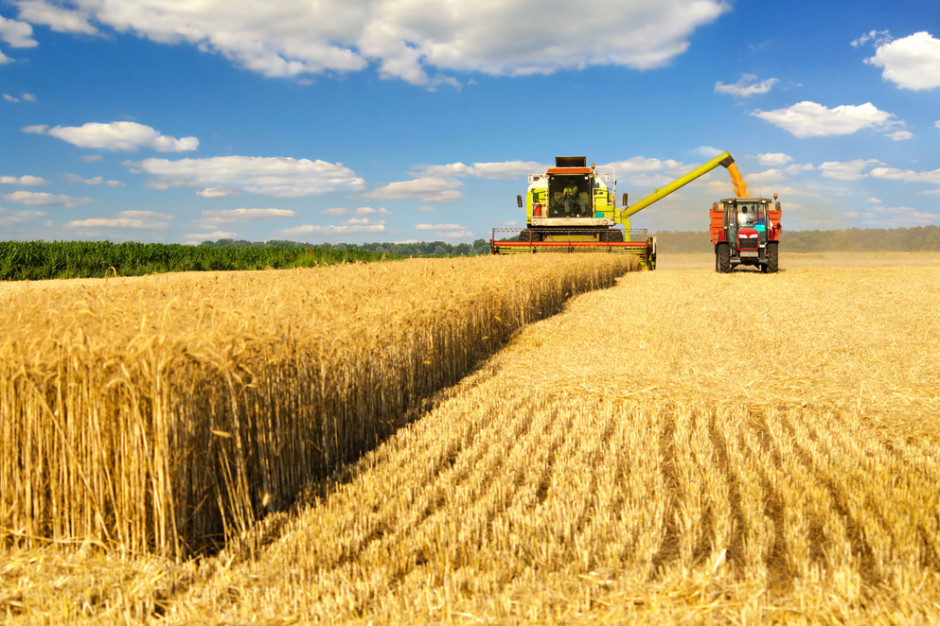 Fot. shutterstock Na Ukrainie i w Rosji trwają żniwa