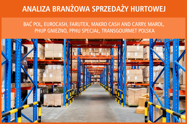 Analiza branżowa sprzedaży hurtowej - edycja 2017
