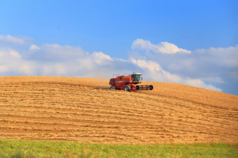 fot. shutterstock Koniunktura w rolnictwie - analiza IERiGŻ