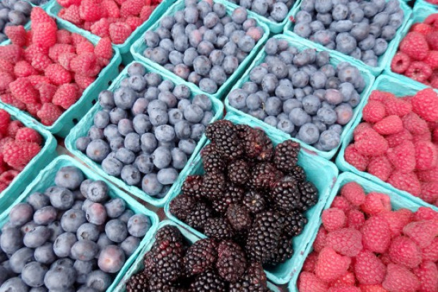 fot. shutterstock Brytyjscy plantatorzy przenoszą produkcję do Polski. A Polacy myślą o plantacjach na Wschodzie