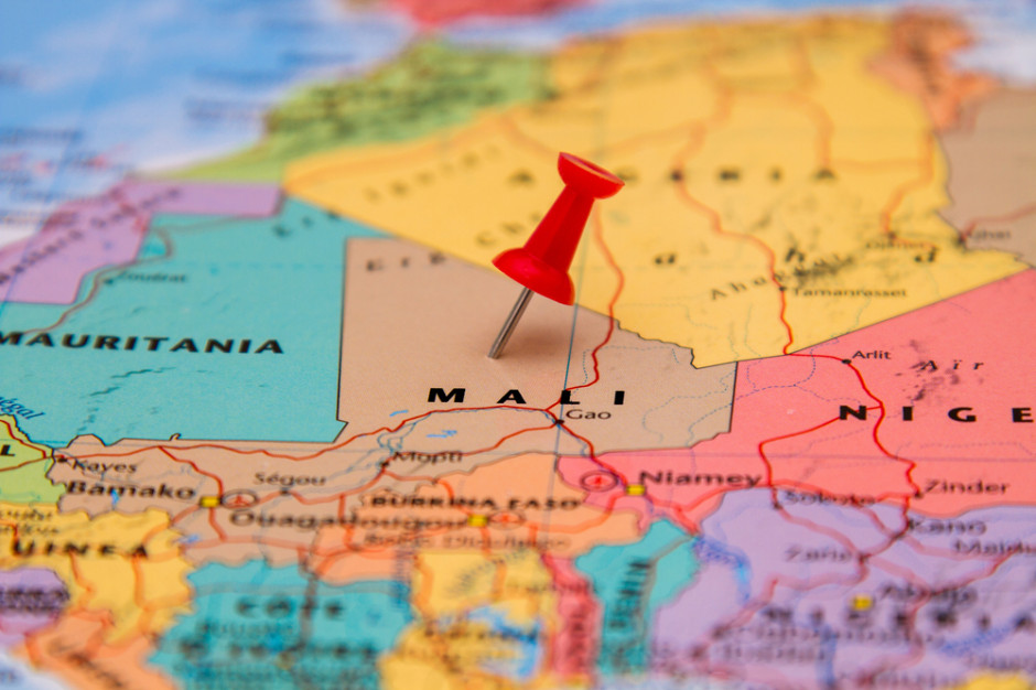 fot. shutterstock Rząd Mali poszukuje współpracy z polskimi firmami drobiarskimi