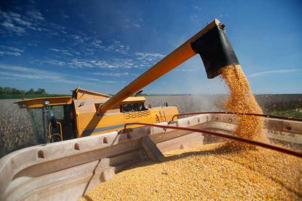 Fot. shutterstock Rosja zwiększyła produkcję rolną