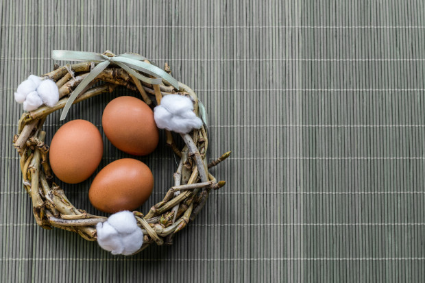 fot. shutterstock Holandia: Skandal z fipronilem dotknął także producentów ekologicznych jaj