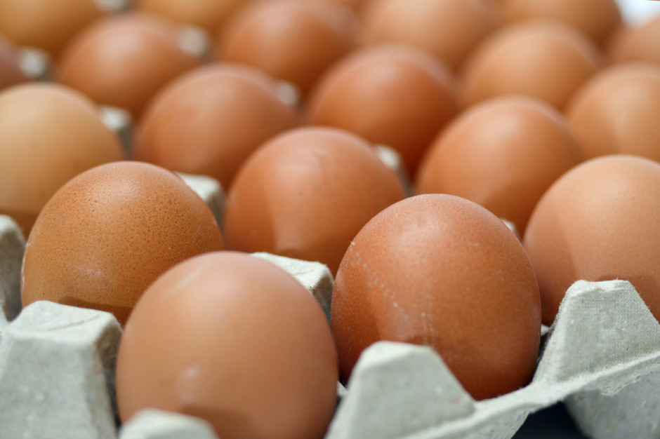 Fot. shutterstock Belgia chce skarżyć holenderską firmę odpowiedzialną za skażenie jaj
