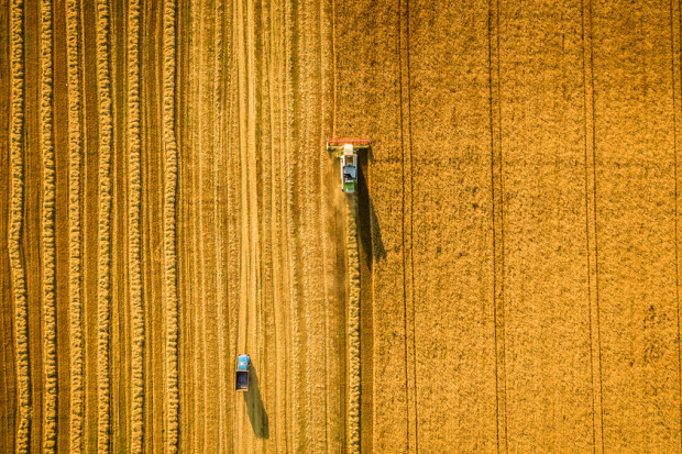 fot. shutterstock 1 września zacznie działać Krajowy Ośrodek Wsparcia Rolnictwa
