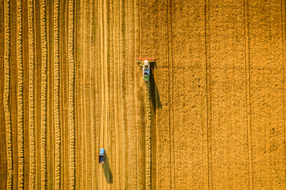 fot. shutterstock 1 września zacznie działać Krajowy Ośrodek Wsparcia Rolnictwa