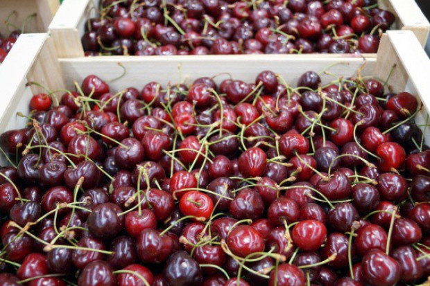 fot. shutterstock Produkcja owoców pestkowych na Ukrainie będzie znacznie niższa niż przed rokiem