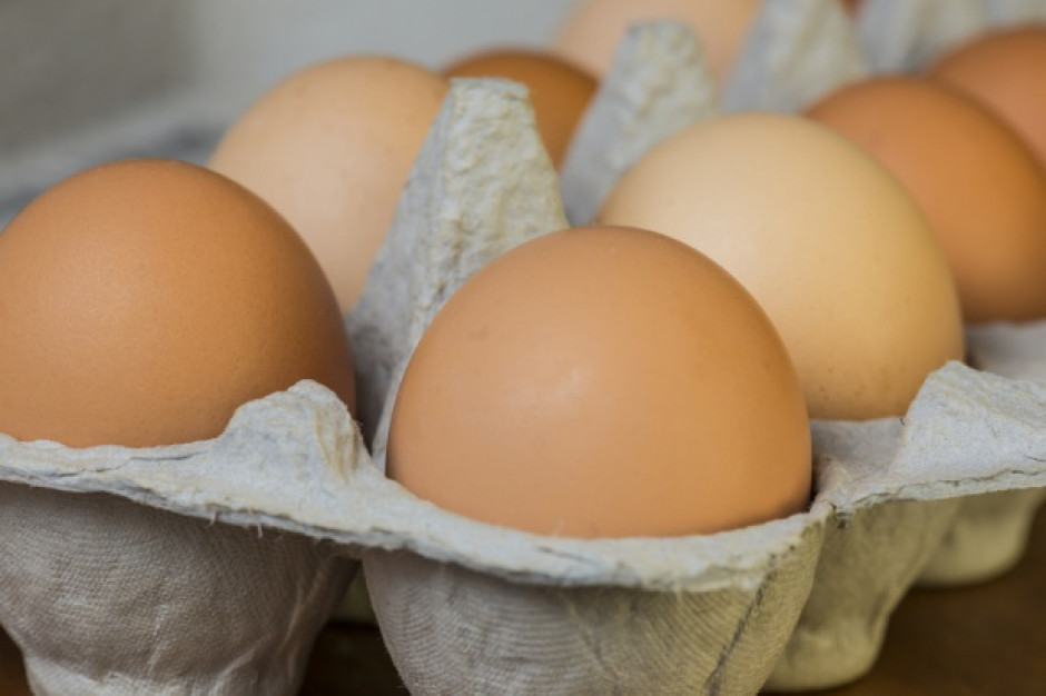 fot. shutterstock Ferma Drobiu Woźniak: Nie stosowaliśmy i nie stosujemy środków zawierających fipronil