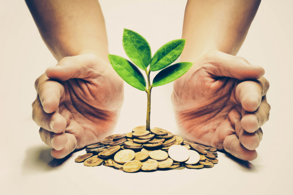 fot. shutterstock Będą zachęty podatkowe dla rozwiązań proekologicznych