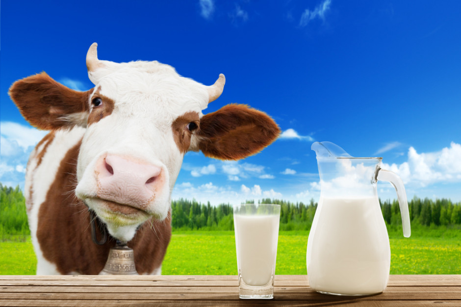 fot. shutterstock Na Słowacji powstaje jedna z największych farm mlecznych w Europie Centralnej
