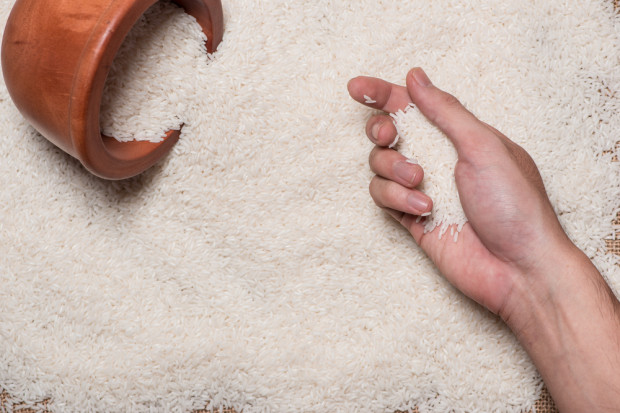 Fot. shutterstock Włochy: Rozpoczynają się kontrole jakości importowanego ryżu