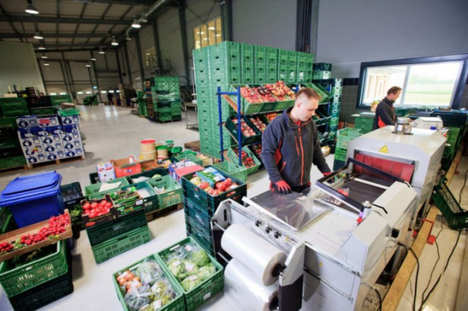 Hurtownia warzyw i owoców Bukat przejmuje firmę z Białorusi