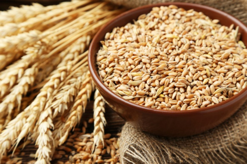 fot. shutterstock Ekspert: niezwykle trudny rok dla producentów zbóż
