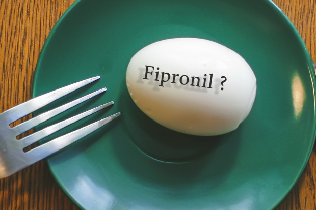 fot. shutterstock Weterynarze: Preparaty zawierające fipronil są zbyt łatwo dostępne
