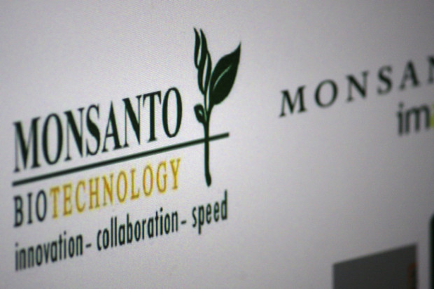 fot. shutterstock Monsanto zwiększa sprzedaż i zyski