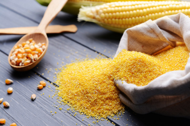 fot. shutterstock UE: Redukcja ceł na import kukurydzy, sorgo i ryżu