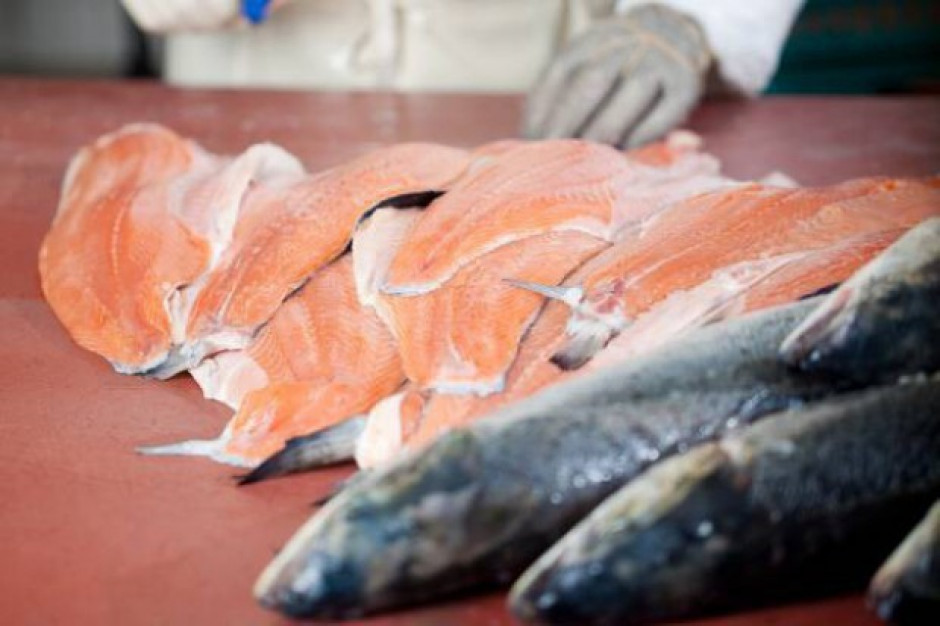 Marine Harvest po protestach mieszkańców zrezygnował z budowy fabryki