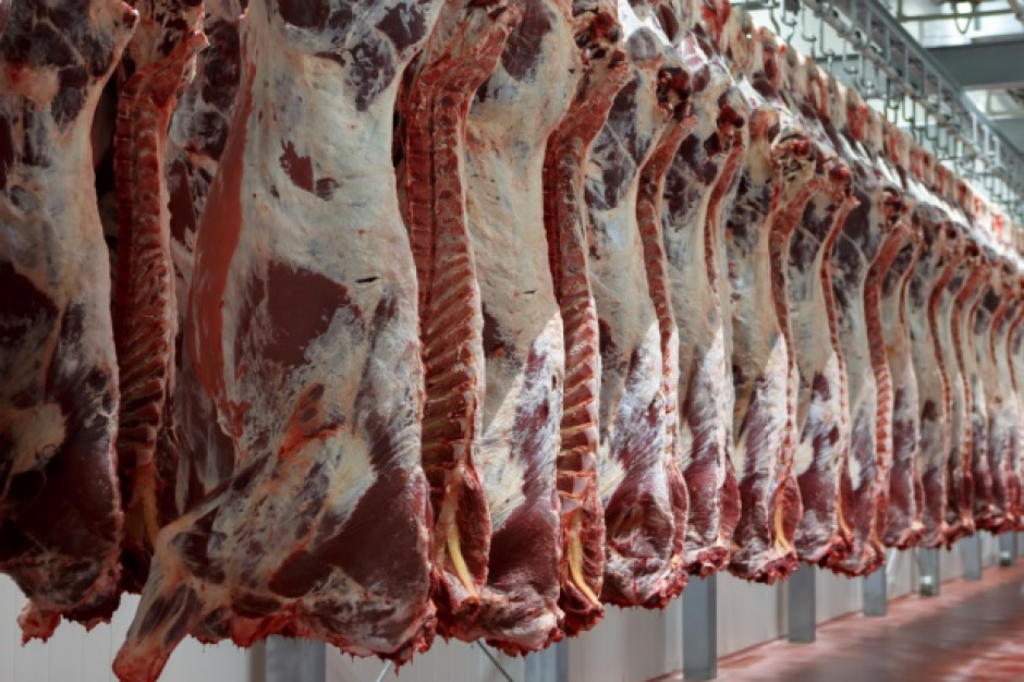Fot. Shutterstock Branża mięsna chce wzmocnienia pozycji Polski w produkcji mięsa