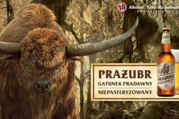 fot. materiały prasowe Prażubr ze złotym Effie za kampanię marketingową