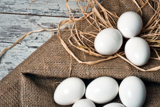 fot. shutterstock Ceny jaj zrównały się z cenami drobiu