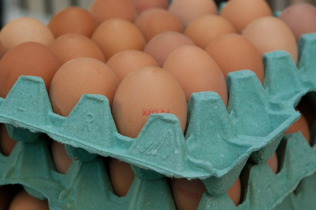 IERiGŻ: Opłacalność produkcji jaj znacząco rośnie