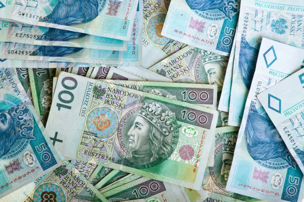 fot. shutterstock ARiMR: 6,61 mld zł poszło na wypłatę zaliczek dopłat bezpośrednich