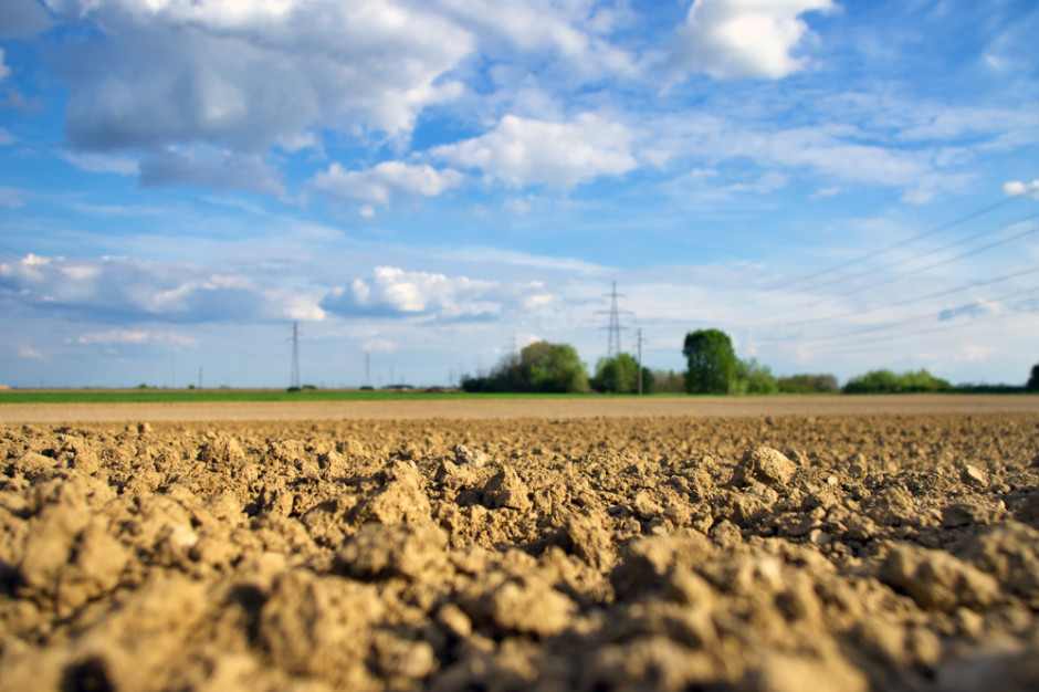 Fot. shutterstock Tegoroczna susza osłabiła hiszpańskie rolnictwo