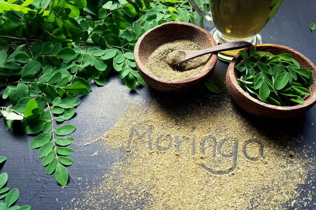 fot. shutterstock Moringa nowym superfoods?