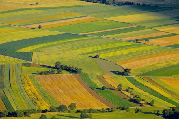 fot. shutterstock.com Ukraina: Obrót gruntami rolnymi będzie zakazany jeszcze do 2019 r.