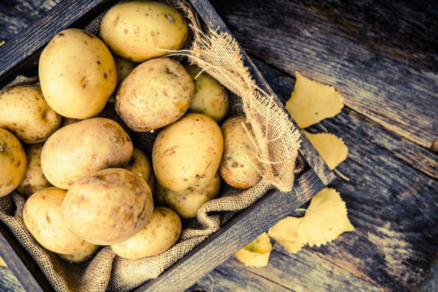 fot. shutterstock Ziemniaki bogate w kwas askorbionowy