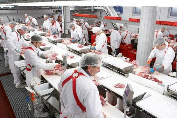 fot. materiały prasowe Czy rosnące koszty pracy wymuszą na firmach spożywczych nowe inwestycje?