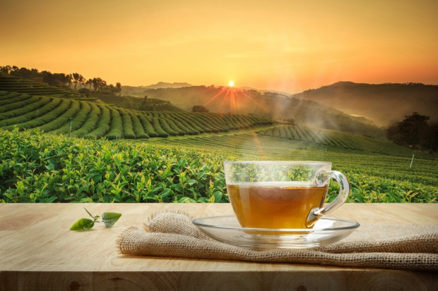 fot. shutterstock 15 grudnia obchodzimy Dzień Herbaty