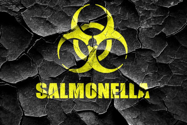 fot. shutterstock Salmonella w partii czekolad z Rossmanna