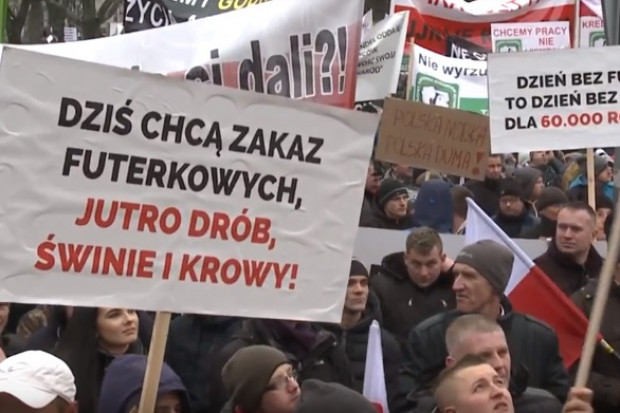 Protest rolników i przetwórców przed Sejmem RP, kadr za YouTube Branża mięsna i futerkowa w proteście przed Sejmem (wideo)