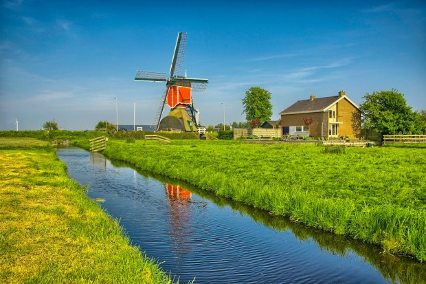 fot. shutterstock Rekordowe dochody holenderskich rolników
