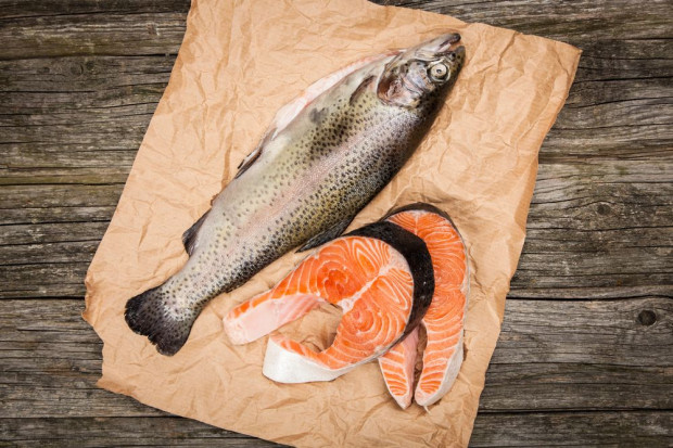fot. shutterstock.com Polska najważniejszym odbiorcą norweskiego łososia