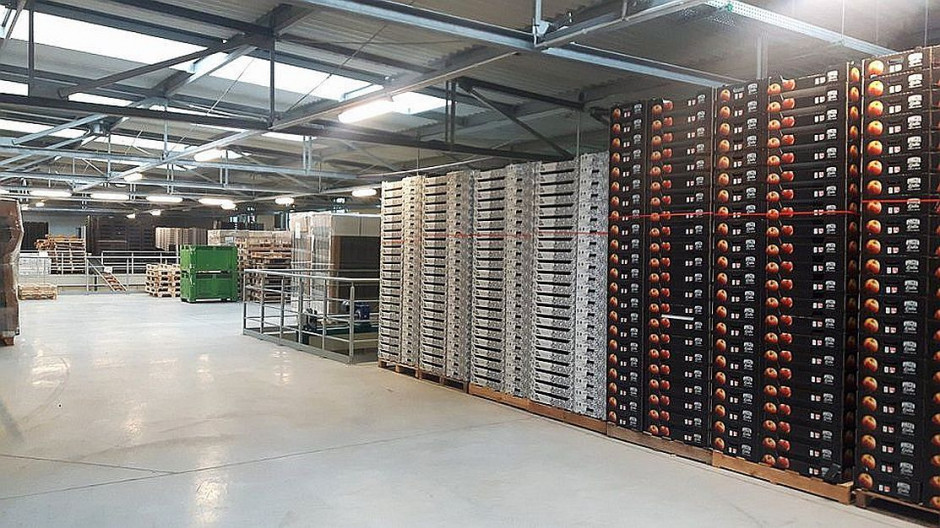Magazyn z chłodnią i sortownią owoców firmy Rajpol. Fot. portalspozywczy.pl Zdjęcie numer 7 - galeria: Rajpol: Dostawy naszych owoców do Lidla generują ¼ obrotów firmy (galeria zdjęć)