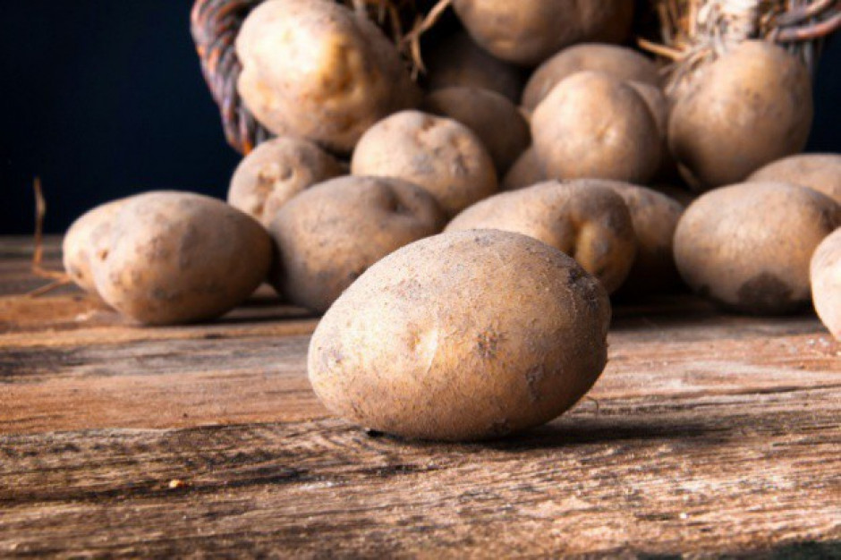 fot. shutterstock Raport IERiGŻ: Ceny ziemniaków w Polsce nadal są niskie