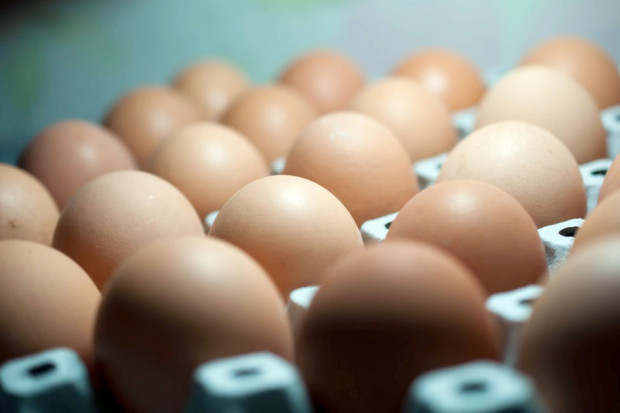 fot. shutterstock Maxima Grupe rezygnuje ze sprzedaży jaj z chowu klatkowego