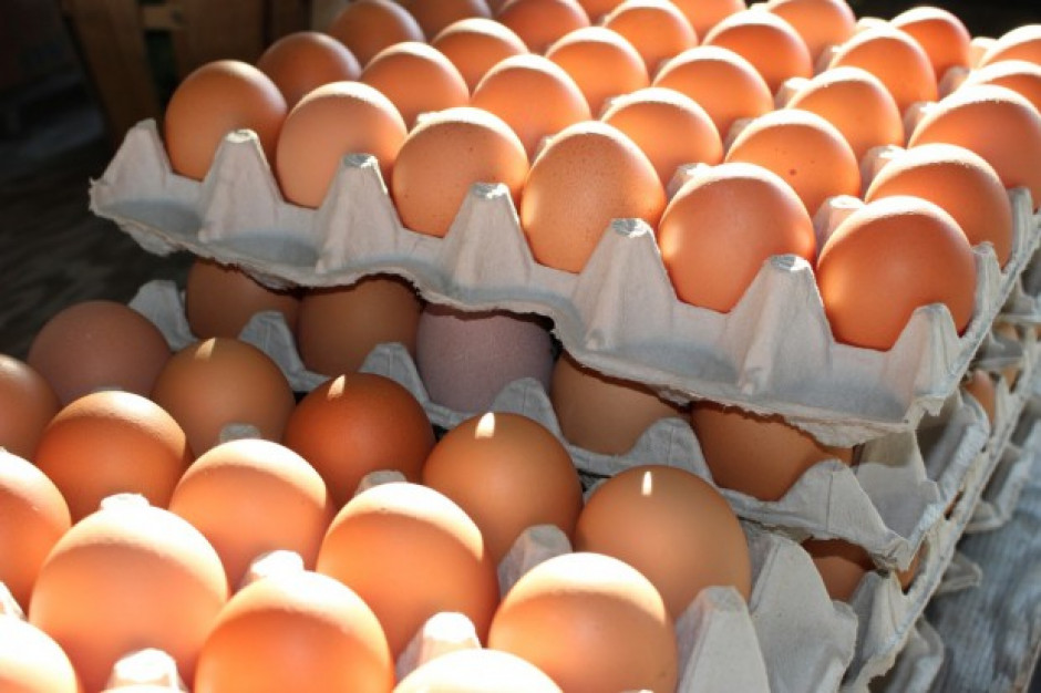 fot. pixabay Rynek jaj po aferze fipronilowej: Rekordowy eksport i rosnący import z USA