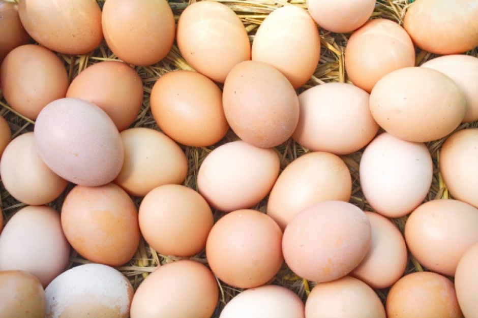 fot. shutterstock Jaja tanieją, chociaż nadal są droższe niż przed rokiem