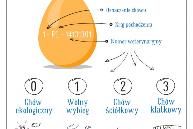 fot. mat. pras. E.Leclerc edukuje konsumentów na temat jaj