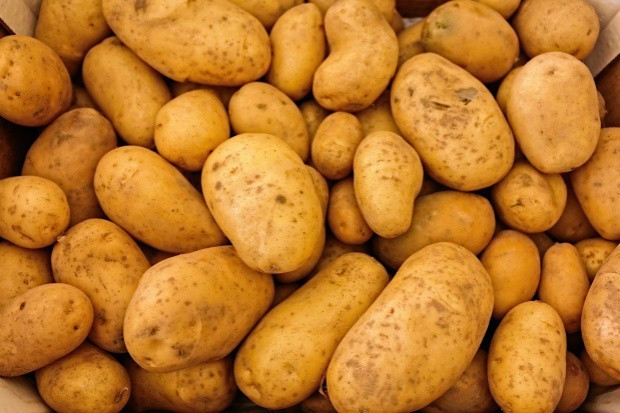 fot. shutterstock Analiza IERiGŻ: Ceny ziemniaków w Polsce nadal są niskie