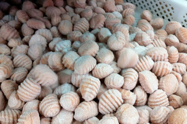 gnocchi pomidorowe; Facebook/Perino Producent mrożonego makaronu szykuje zakład przetwórczy
