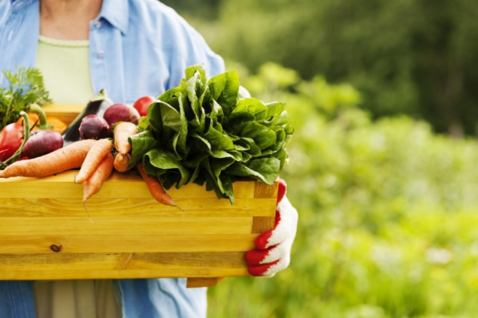 fot. shutterstock KRiR: Unijni kontrolerzy badają system kontroli żywności ekologicznej