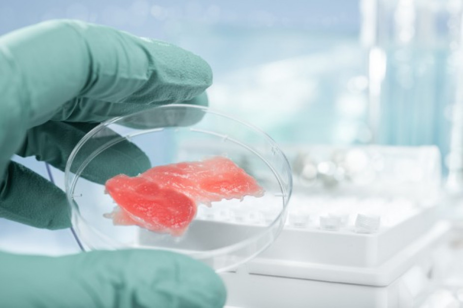 fot. shutterstock.com Badanie: Prawie co trzeci konsument chce jeść mięso wyprodukowane w laboratorium