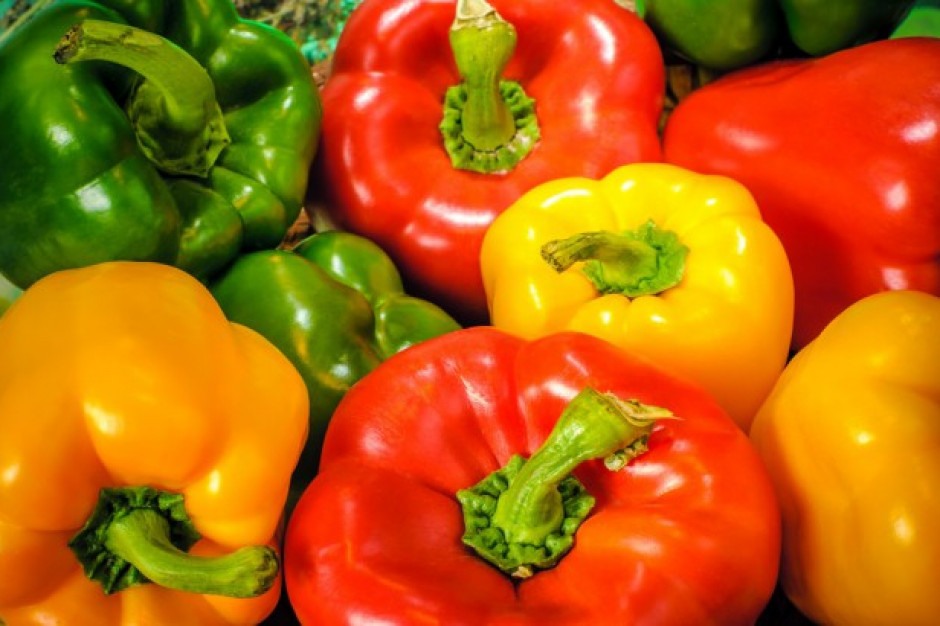 fot. shutterstock Rosja: W przesyłce papryki z Maroka wykryto szkodnika